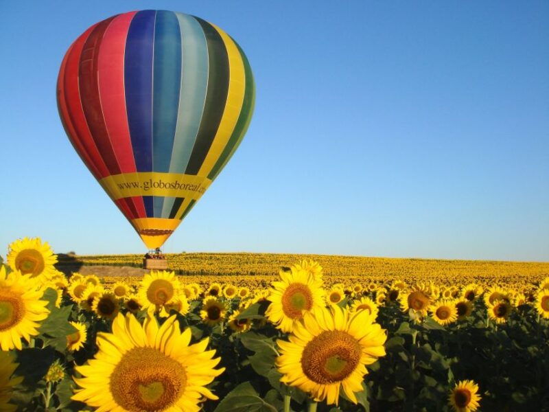 from-madrid-hot-air-balloon-ride-in-segovia-with-pickup