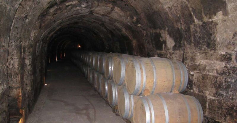 from-madrid-ribera-del-duero-tour-of-3-different-wineries