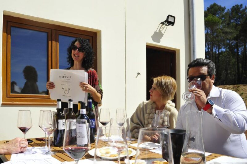 from-madrid-ribera-del-duero-tour-of-3-different-wineries