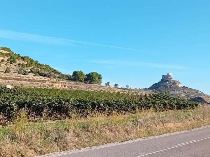 From Madrid: Ribera del Duero Wine Tour with Local Lunch - What You Can Expect from the Ribera del Duero Wine Tour