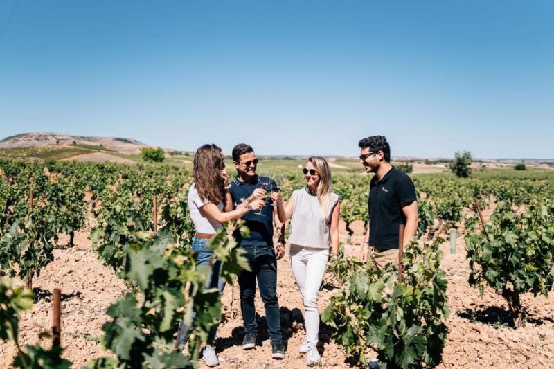 from-madrid-ribera-del-duero-winery-and-segovia-tour