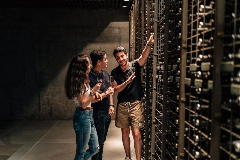 from-madrid-ribera-del-duero-winery-and-segovia-tour