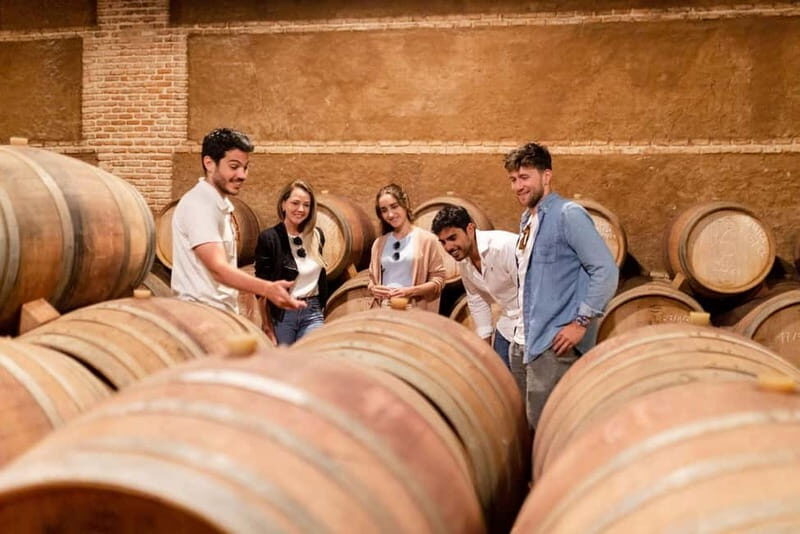 From Madrid: Segovia, Avila & Toledo with Winery in 2 days - Who Will Love This Tour?