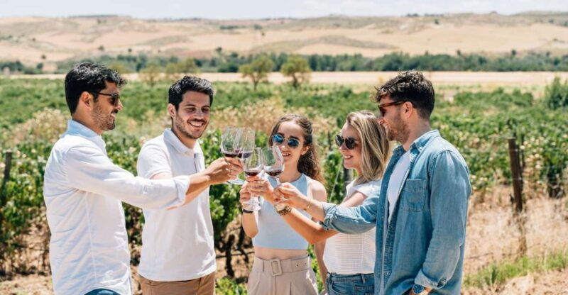 from-madrid-toledo-city-tour-and-wine-tasting-experience