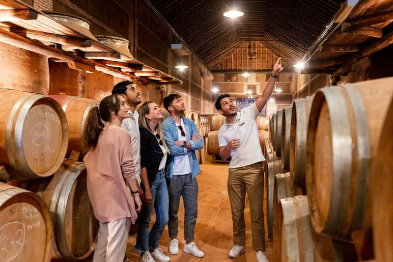 From Madrid: Toledo Guided Tour & Winery Visit with Tasting - Key Points
