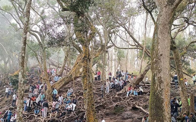 From Madurai: Kumbakarai Falls & Kodaikanal Full-Day Tour - Overview of the From Madurai: Kumbakarai Falls & Kodaikanal Full-Day Tour