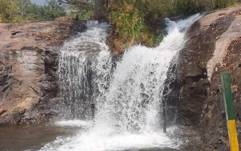 From Madurai: Kumbakarai Falls & Kodaikanal Full-Day Tour - Who Will Enjoy This Tour?