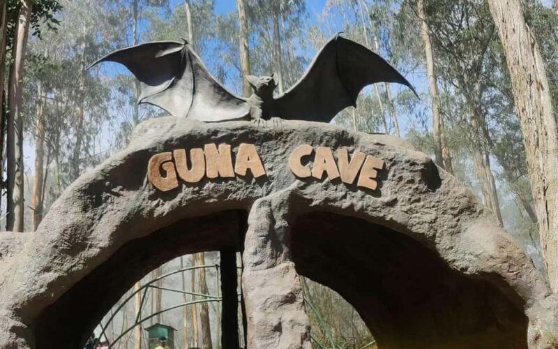 From Madurai: Kumbakarai Falls & Kodaikanal Full-Day Tour - FAQs