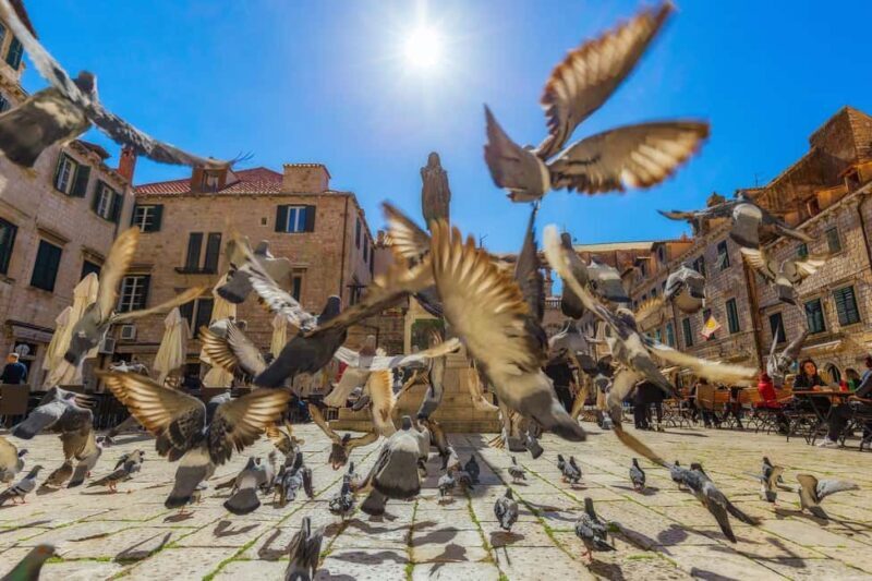 From Makarska Riviera : Dubrovnik Small Group Tour - Practical Tips for Making the Most of Your Tour