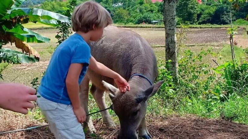 from-makassar-6-day-toraja-experience-tour-with-local-stay