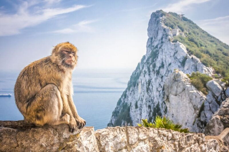 from-malaga-and-costa-del-sol-gibraltar-shopping-tour