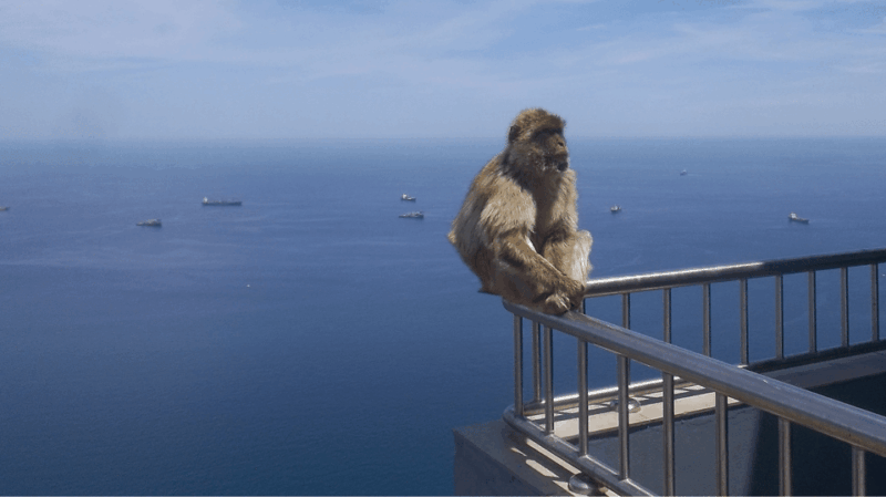 from-malaga-and-the-costa-del-sol-shopping-in-gibraltar