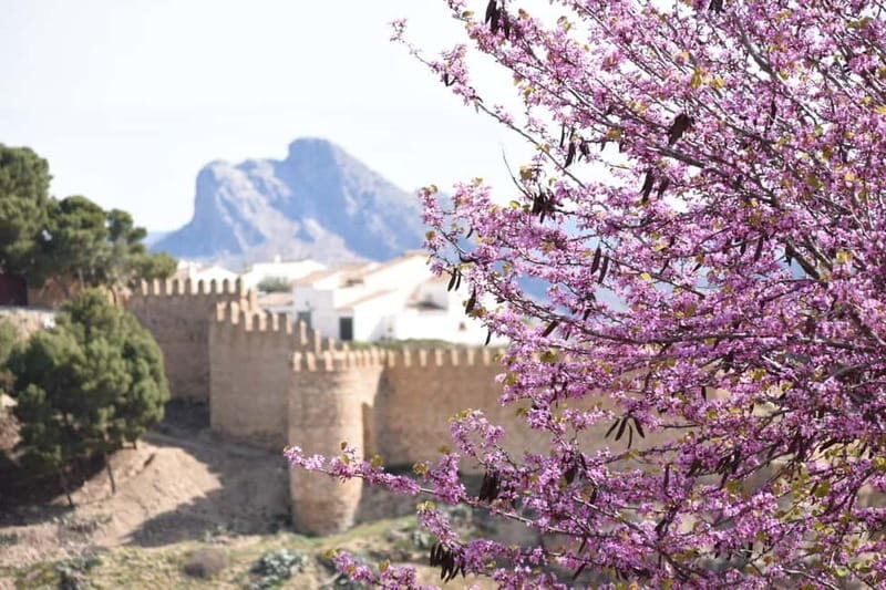 From Malaga: Antequera Heritage and Oil Mill land - Key Points