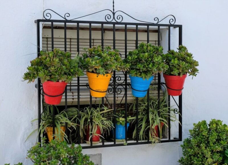 from-malaga-costa-del-sol-trip-to-nerja-frigiliana