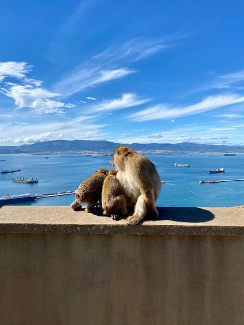 from-malaga-day-trip-to-gibraltar