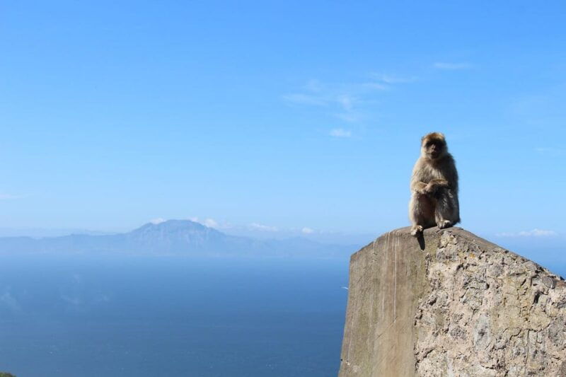 from-malaga-gibraltar-and-tangier-private-day-trip