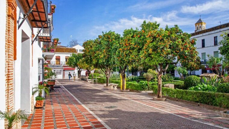 from-malaga-or-costa-del-sol-mijas-marbella-puerto-banus