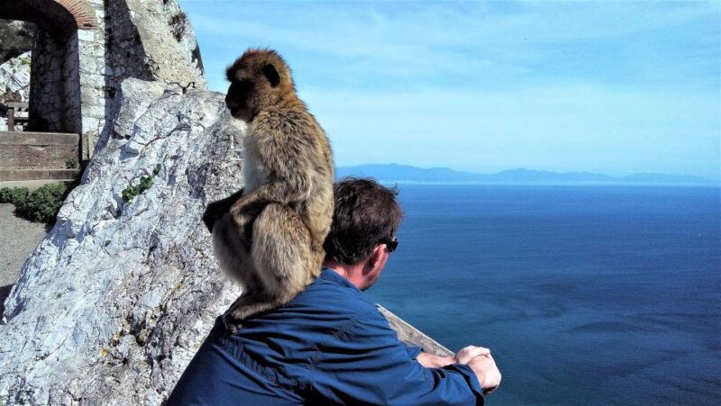 from-malaga-or-marbella-private-gibraltar-tour