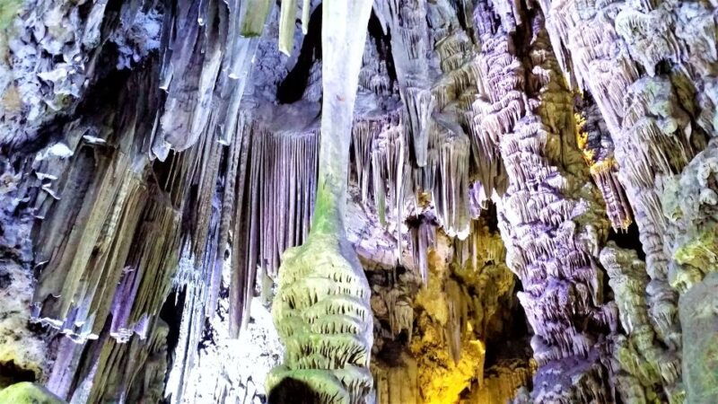 from-malaga-or-marbella-private-gibraltar-tour