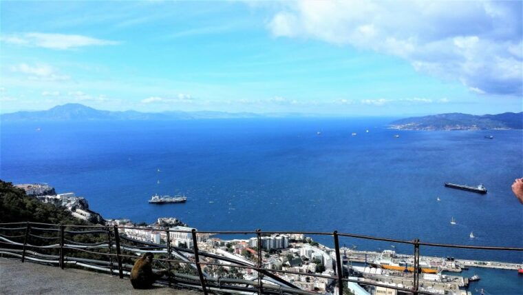 from-malaga-or-marbella-private-gibraltar-tour