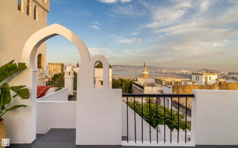 from-malaga-or-tarifa-private-tangier-day-tour