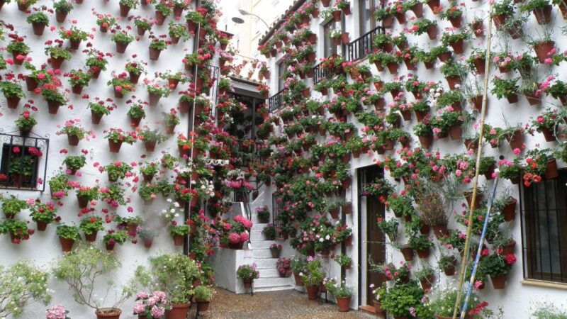 from-malaga-private-day-trip-to-cordoba-mosque-cathedral