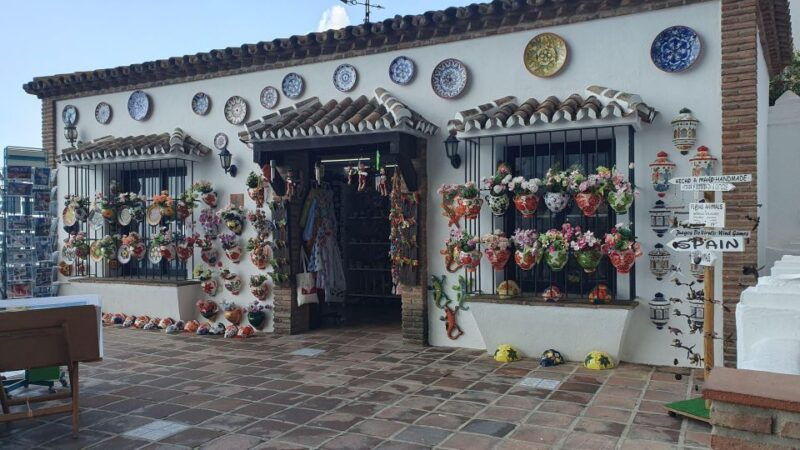 from-malaga-private-guided-tour-of-marbella-mijas-banus