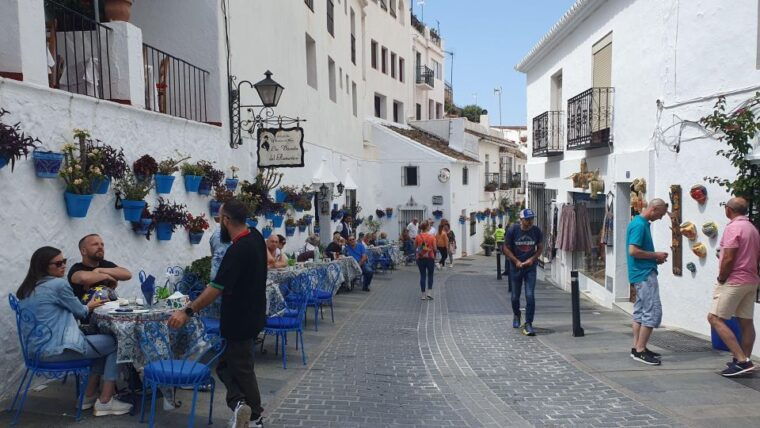 from-malaga-private-guided-tour-of-marbella-mijas-banus