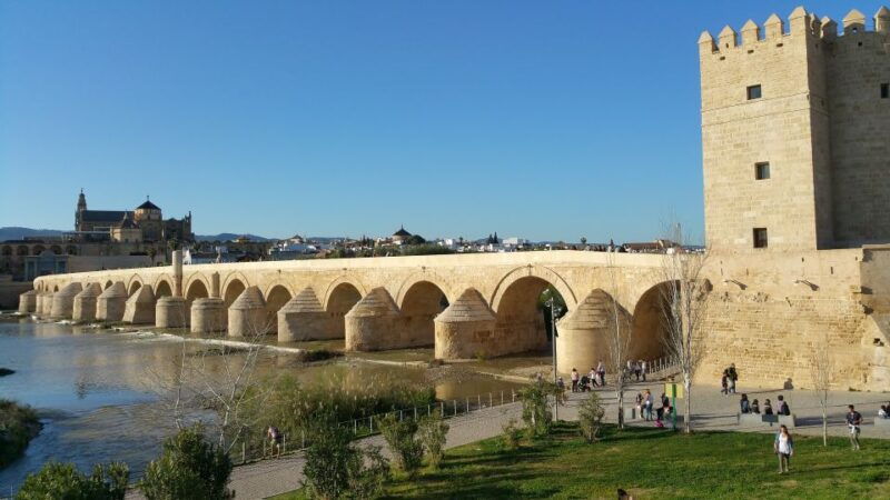 from-malaga-private-guided-walking-tour-of-cordoba