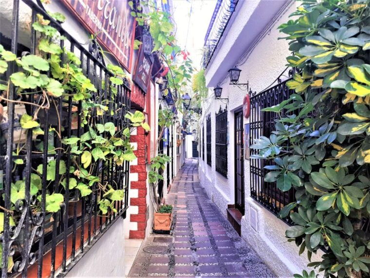 from-malaga-private-tour-in-marbella-2