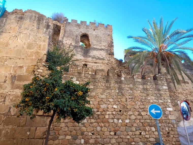 from-malaga-private-tour-in-marbella-2