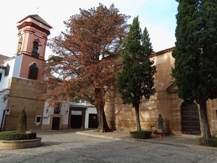 from-malaga-private-tour-to-ronda-and-setenil