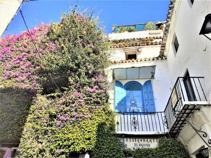 from-malaga-private-trip-in-gibraltar-and-marbella