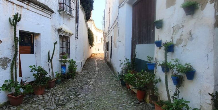 from-malaga-ronda-and-setenil-de-las-bodegas-complete-tour