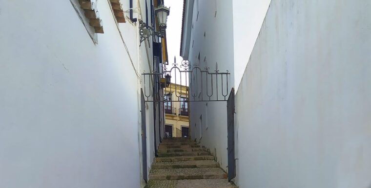 from-malaga-ronda-and-setenil-de-las-bodegas-complete-tour