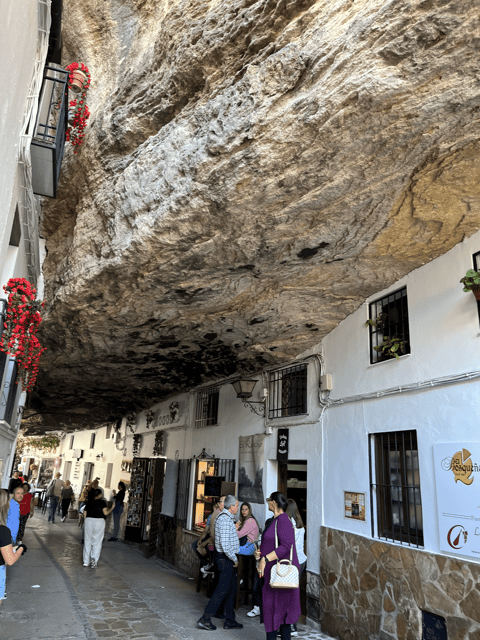 from-malaga-ronda-and-setenil-de-las-bodegas-day-trip