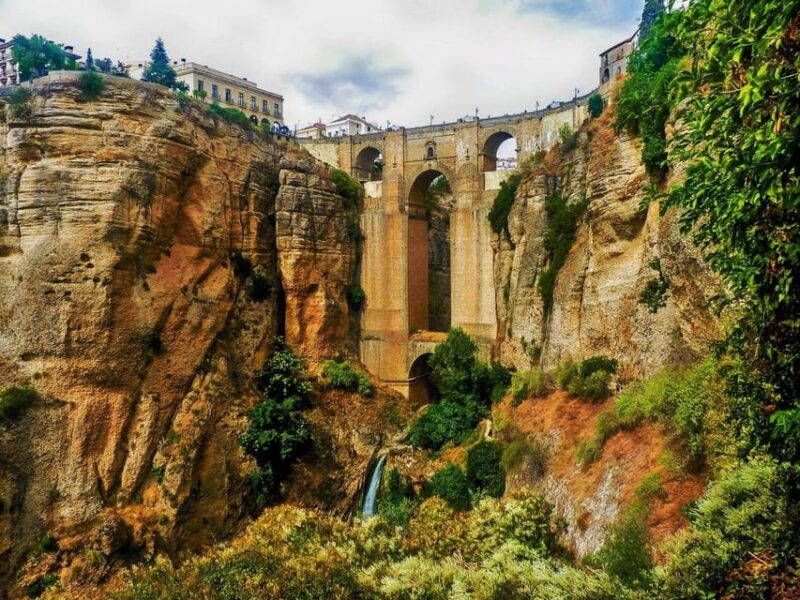 from-malaga-ronda-experience-with-oil-tasting