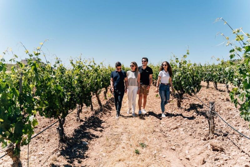 from-malaga-ronda-wine-olive-oil-tasting-small-group