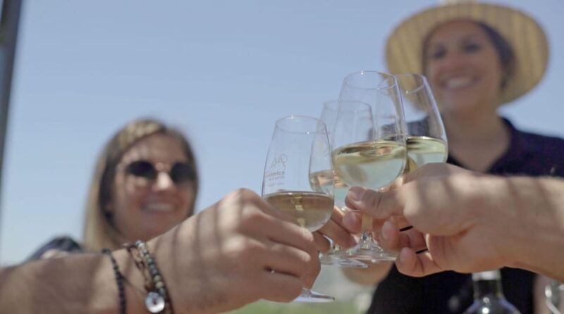 from-malaga-ronda-wine-olive-oil-tasting-small-group