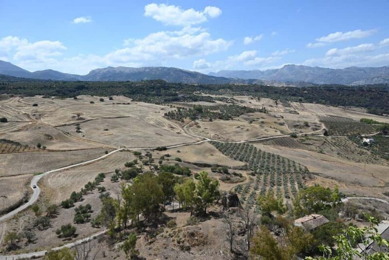 From Malaga: Ronda y Setenil de la Bodegas Day Trip by coach - Key Points  