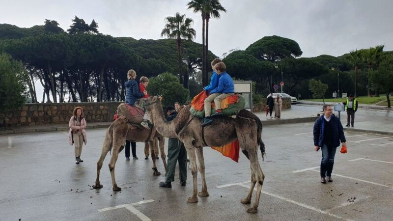 from-malaga-tangier-day-tour-with-bazaar-shopping-and-lunch
