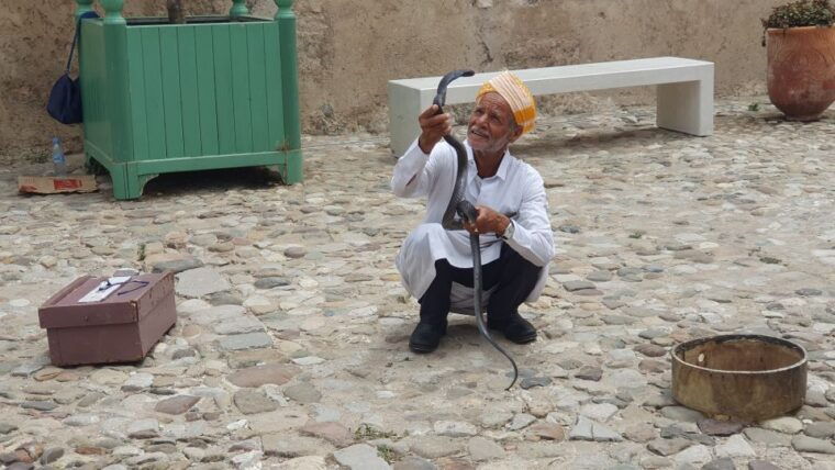 from-malaga-tangier-day-tour-with-bazaar-shopping-and-lunch