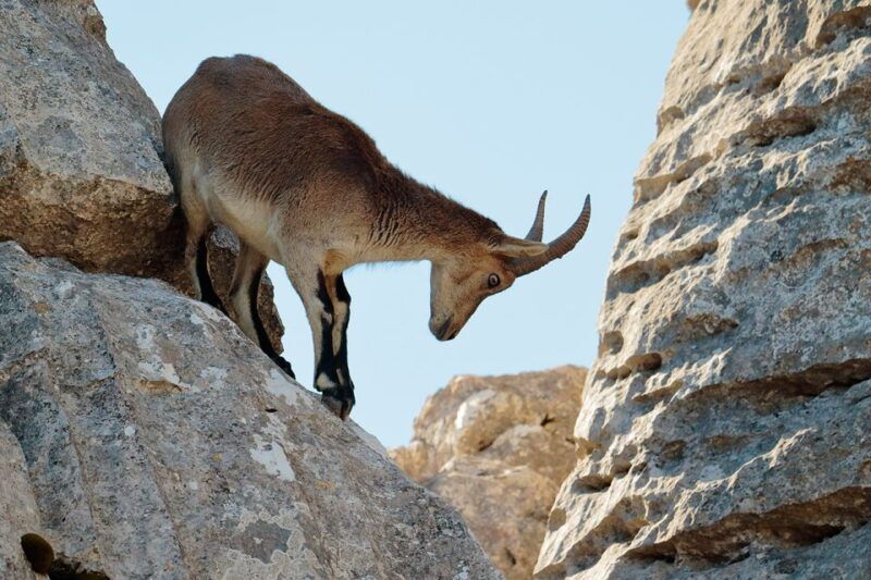 from-malaga-torcal-de-antequera-hiking-tour