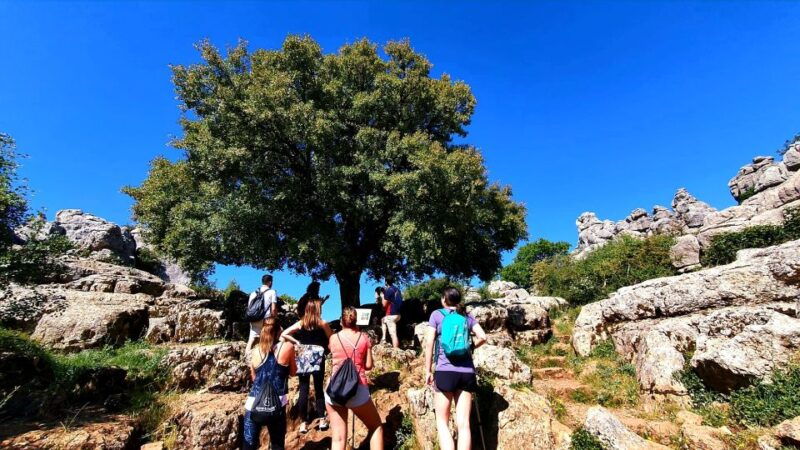 from-malaga-vip-antequera-torcal-hiking-and-dolmens-site