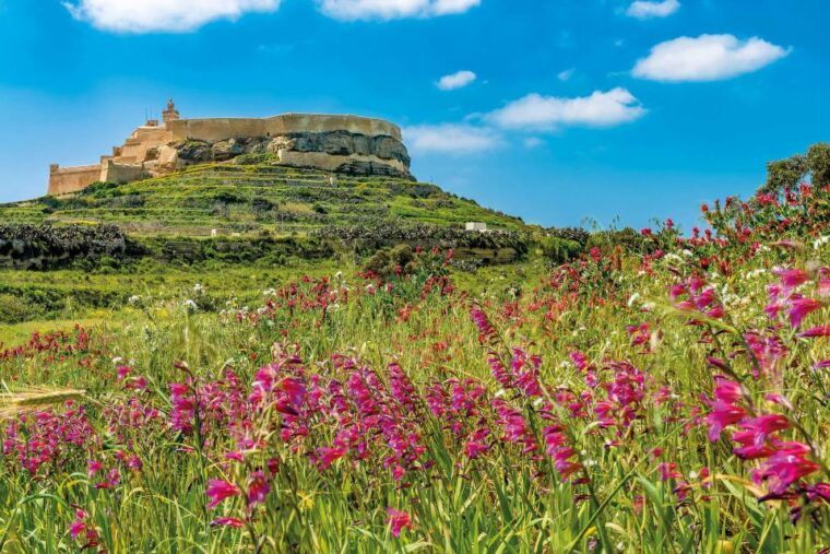 from-malta-gozo-day-trip-including-ggantija-temples