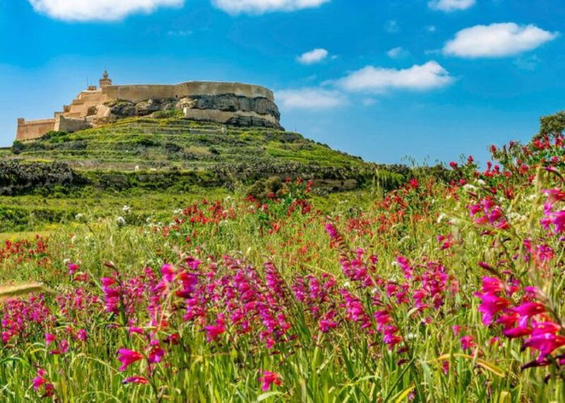 from-malta-gozo-full-day-tour-with-guide-temples-train