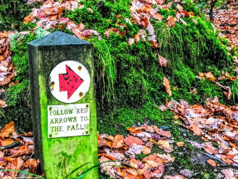 from-manchester-lake-district-sightseeing-day-trip