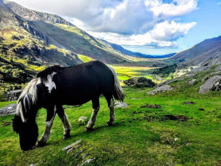 from-manchester-north-wales-sightseeing-adventure-day-trip