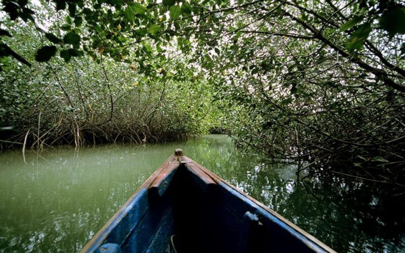 from-mancora-national-sanctuary-of-the-mangroves-tumbes