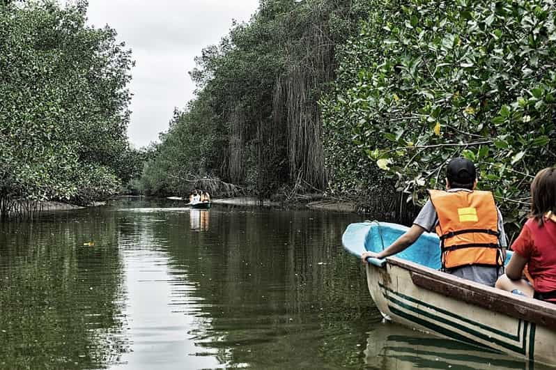from-mancora-national-sanctuary-of-the-mangroves-tumbes